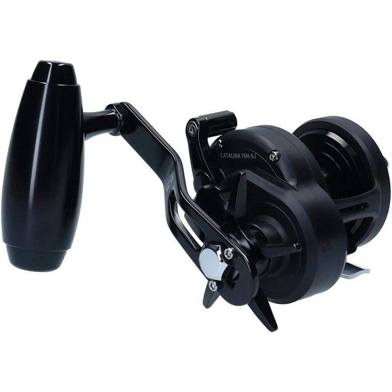 ダイワ(DAIWA) ベイトリール 19 キャタリナ 15H-SJ (2019モデル) 15H SJ DAIWA ベイトリール キャタリナ 2019モデル