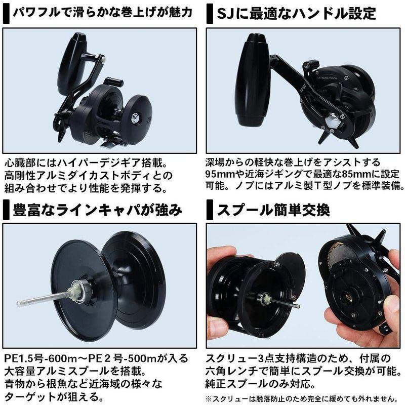 ダイワ(DAIWA) ベイトリール 19 キャタリナ 15H-SJ (2019モデル) 15H SJ DAIWA ベイトリール キャタリナ 2019モデル