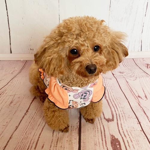 犬 服 犬服 犬の服 秋 ハロウィン ワンピース フリフリ マウス柄