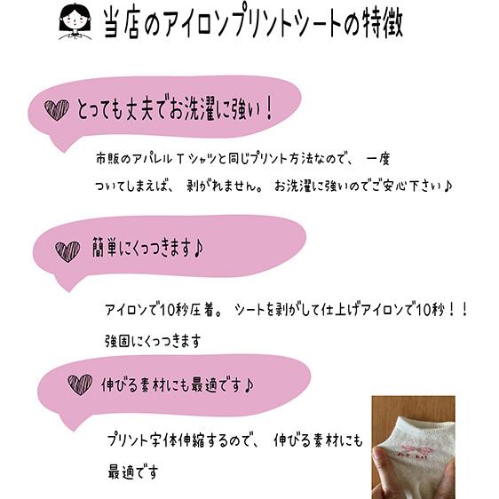 お名前シール 布 小学校 入園 お名前アイロンプリント 大サイズ