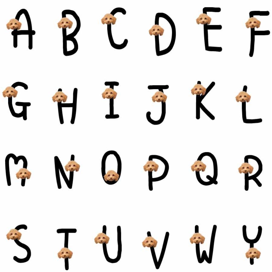 お散歩バッグ 愛犬 愛猫 イラスト 名入れ イニシャル バッグ トート