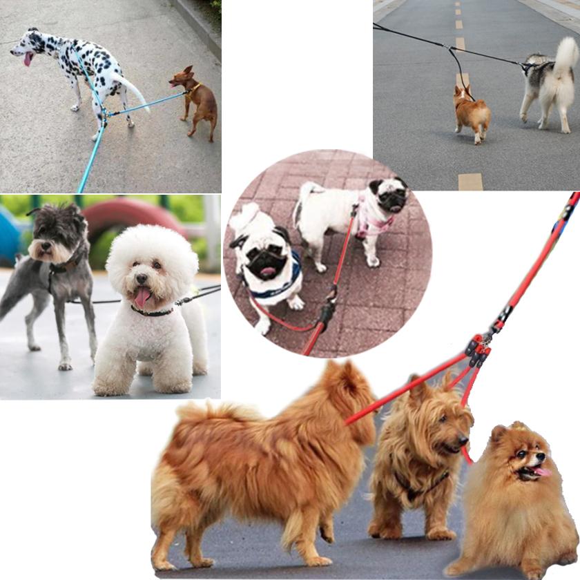 犬 リード 2頭引き ダブルリード ハーネス 2匹用 同輪 小型犬