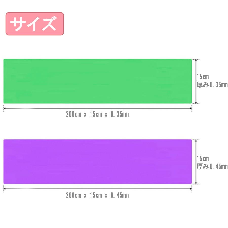 エクササイズバンド 2本セット トレーニングチューブ フィッ トネス