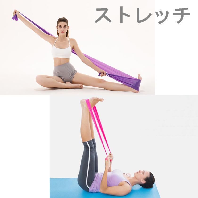 エクササイズバンド 2本セット トレーニングチューブ フィッ トネス