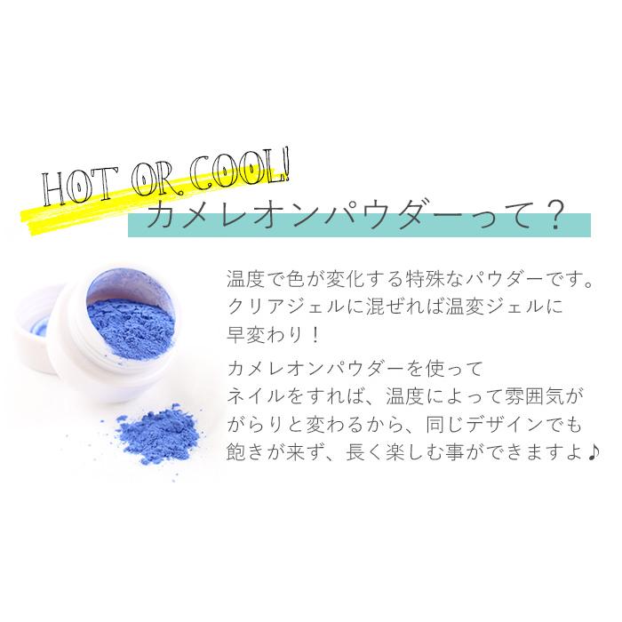 ネイル ジェルネイル カメレオンパウダー メール便|petitprice|03