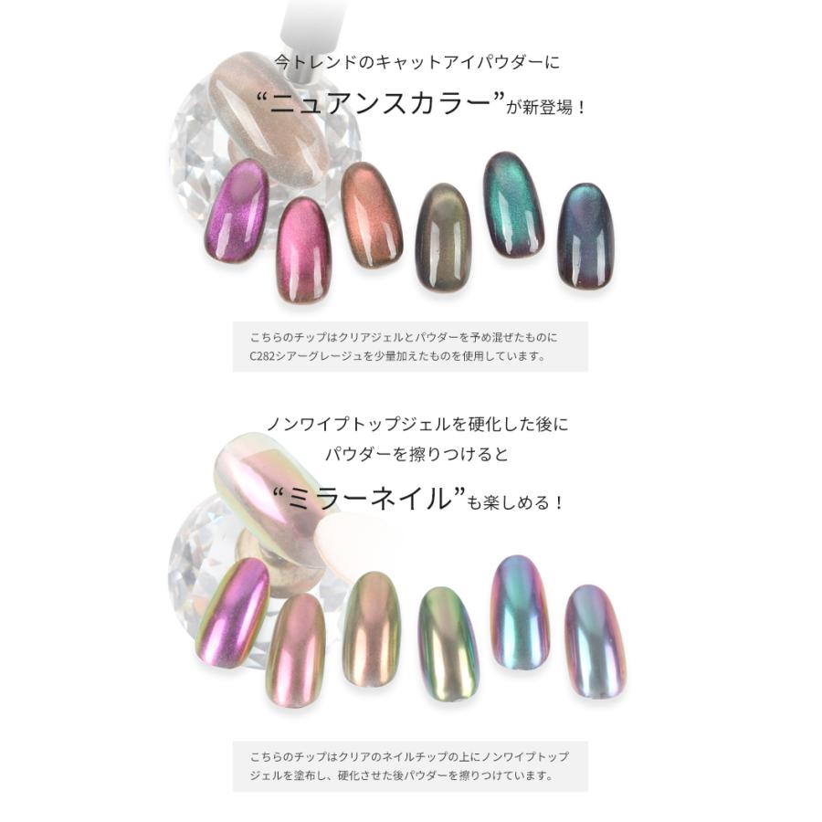 petitprice（プチプラ） ニュアンスキャットアイパウダー マグネット