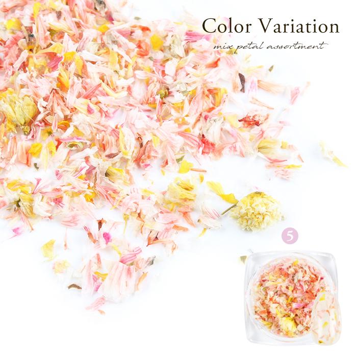 petitprice ネイル ジェルネイル ネイルアート ミックスペタル