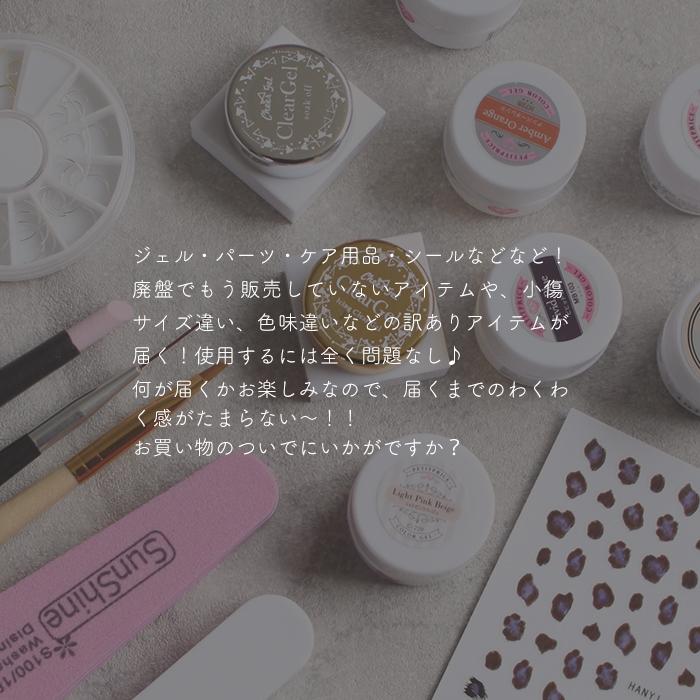 petitprice（プチプラ） [訳り]ミステリー激安アウトレット何が届くか
