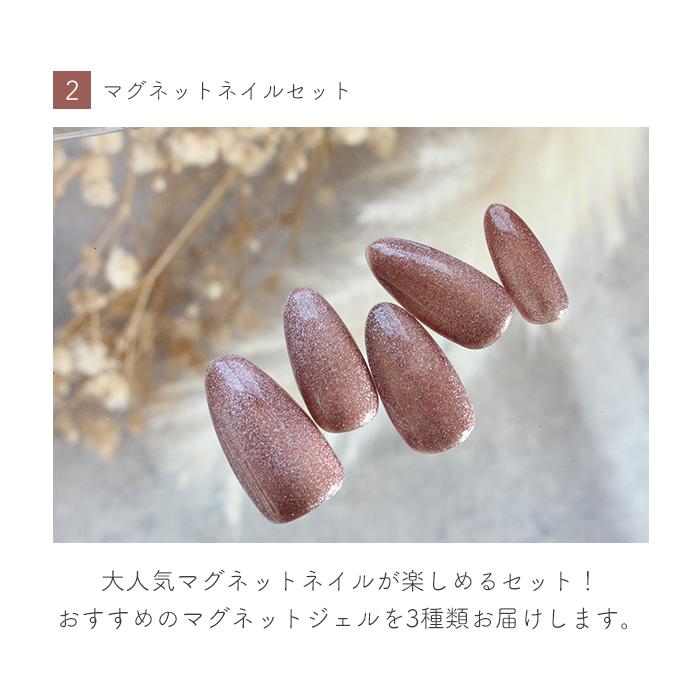 petitprice（プチプラ） 選べるネイルアートセット ネイル ジェル