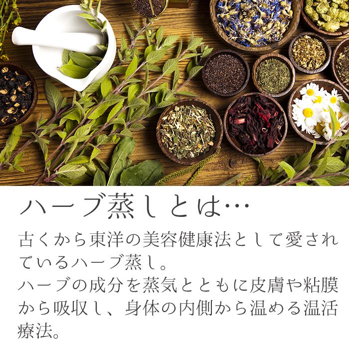petitprice（プチプラ） ハーブ蒸し【ローズマリー】座浴リラックス