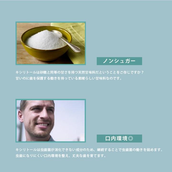 最大94%OFFクーポン 公式限定40g 新発売記念プレゼント有 キシリトール 100% キャンディー タブレット オクチレモンシリーズから新登場 キシリブロック あめ アメ こども 虫歯 甘い 爽快感 歯磨き ノンシュガー 糖類オフ 歯 矯正 防災 キシリトール あめ 100% キャンディー タブレット 虫歯 甘い 歯磨き FuzzyRock 40g ファジーロック 40g