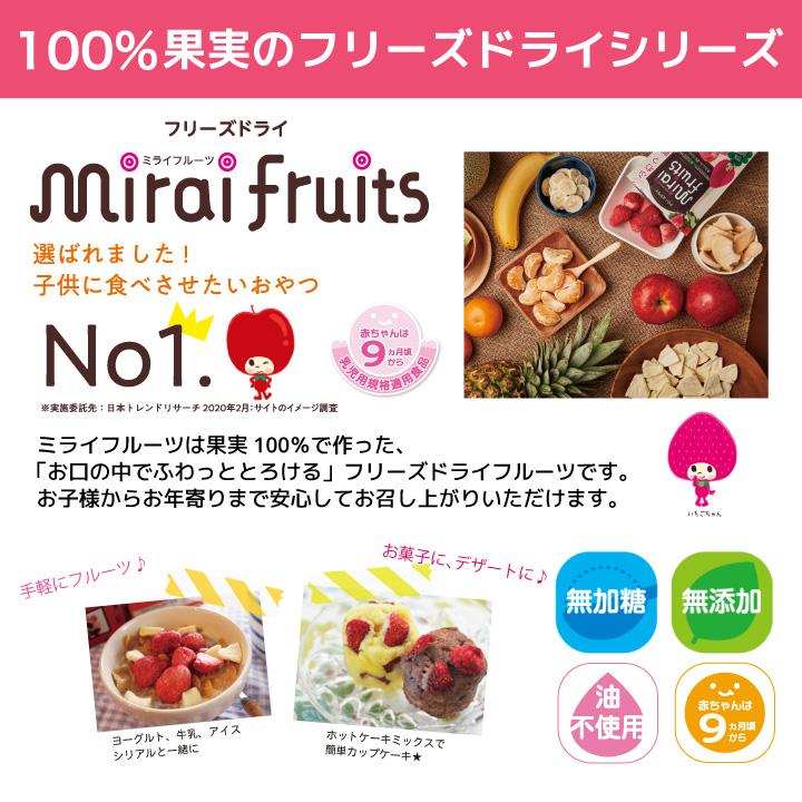 乳児用規格適用食品 フリーズドライフルーツ いちご りんご バナナ