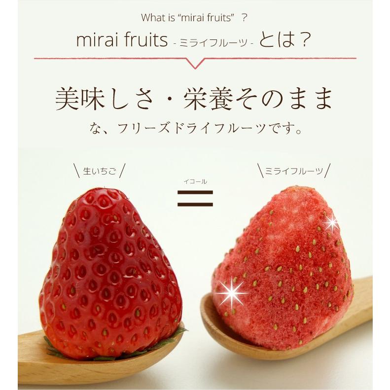 フリーズドライフルーツ りんご 無添加 離乳食 お菓子 赤ちゃん Mirai Fruits R 10 ウェットシートのふた Bitatto公式 通販 Yahoo ショッピング