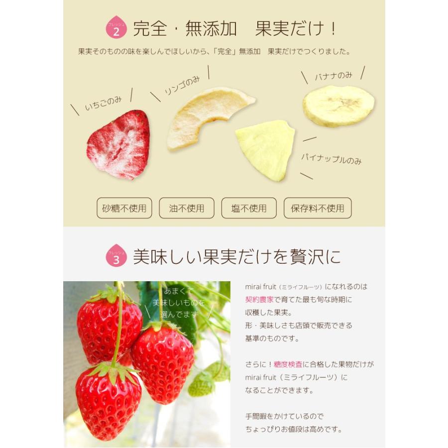 無添加 フリーズドライフルーツ りんご 離乳食 お菓子 赤ちゃん Mirai Fruits R 48 ビタットジャパン公式ショップ 通販 Yahoo ショッピング