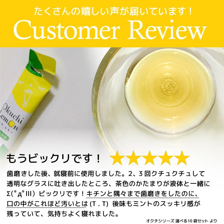 Okuchi マウスウォッシュ 携帯用 個包装 オクチミント 口内洗浄液