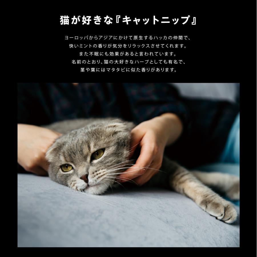 猫ボトルの香水 white catbottle /アンティーク白猫ガラスボトル ねこ