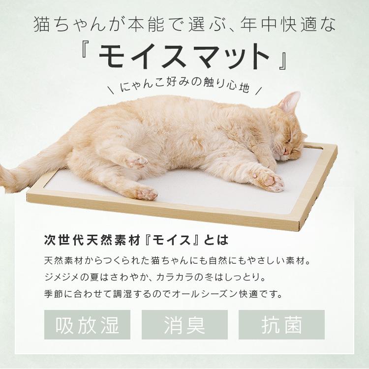 猫用品 NECOCOCHI NCC-45 ナチュラル アイリスオーヤマ｜petkan｜02