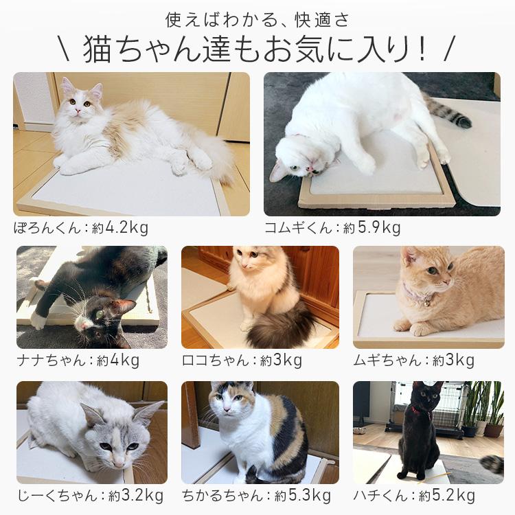 猫用品 NECOCOCHI NCC-45 ナチュラル アイリスオーヤマ｜petkan｜03