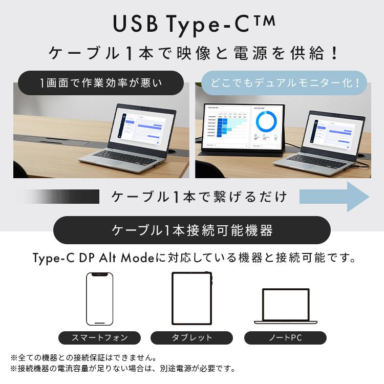 モバイルモニター スタンドカバー付 18.5 大画面 ゲーム 動画 モバイルディスプレイ 薄型 FHD ポータブルモニター アイリスオーヤマ DP-EF184S * | IRIS OHYAMA | 11