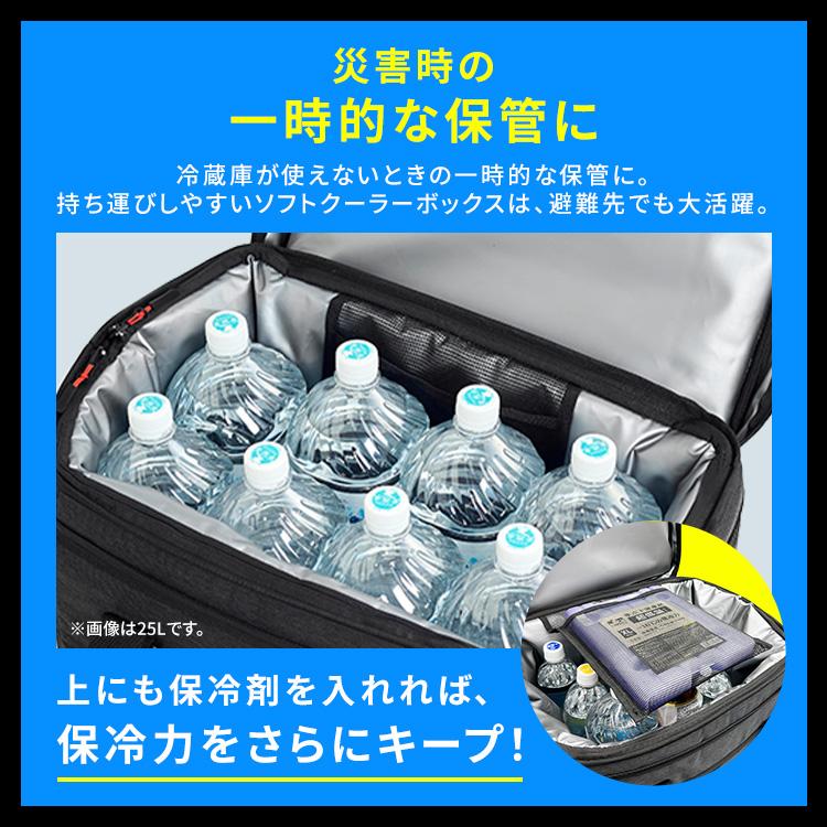 IRIS OHYAMA（アイリスオーヤマ） クーラーボックス 小型 15L 保冷