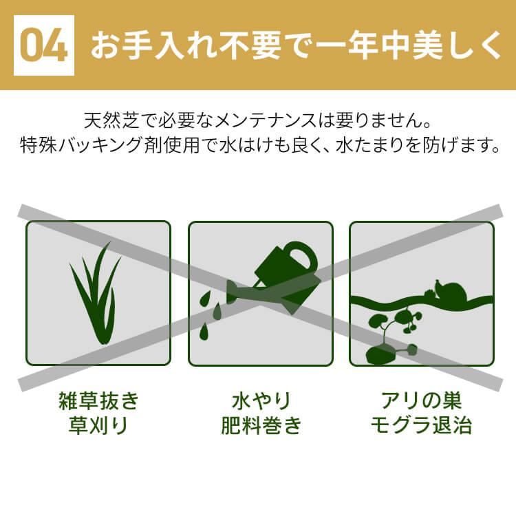 IRIS OHYAMA - 人工芝 芝草 即物的人工芝 渦巻形 アイリスオーヤマ 犬 庭 DIY 1m×5m 防草居敷き 押し並べて型 遮熱 縁側 ガーデニング 愛玩動物 BPS-3015 *