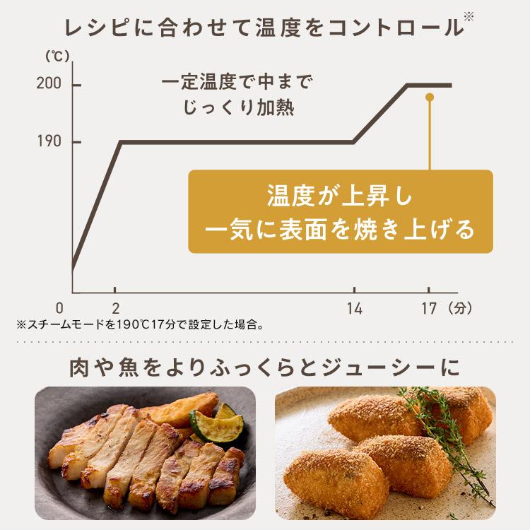 IRIS OHYAMA（アイリスオーヤマ） 電気フライヤー 3L 家庭用 スチーム