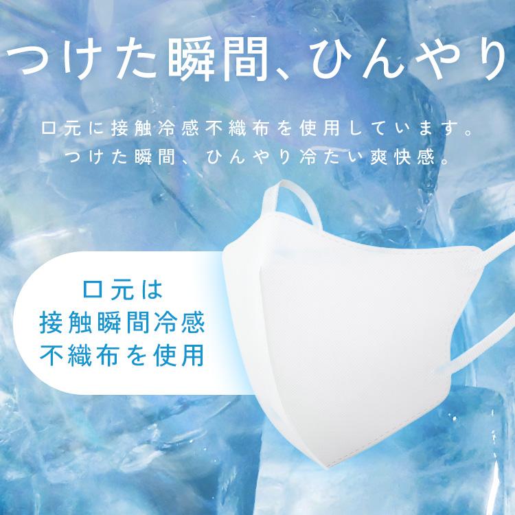 IRIS OHYAMA（アイリスオーヤマ） マスク 冷感マスク 不織布 プリーツ