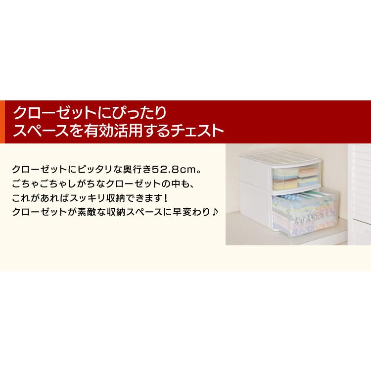 IRIS OHYAMA（アイリスオーヤマ） 収納ケース 収納ボックス 押し入れ