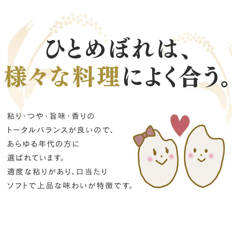 米 10kg 送料無料 令和5年産 無洗米 10kg 宮城県産 ひとめぼれ 低温製法米 精米 密封パック お米 10キロ 節水 アイリスフーズ｜petkan｜05