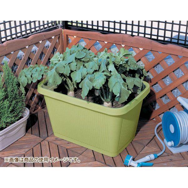 プランター 鉢 家庭菜園 深型 3個セット アイリスオーヤマ 新生活 | IRIS OHYAMA | 02