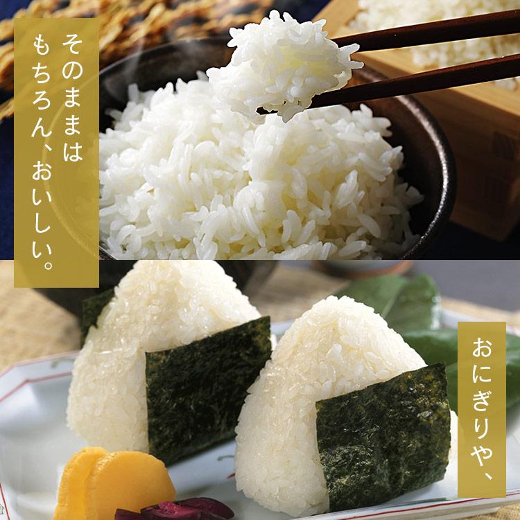 米 10kg 送料無 令和6年産 米10kg 送料無料 アイリスオーヤマ 米 秋田県産 あきたこまち 低温製法米 精米 お米 10キロ ご飯 ごはん アイリスフーズ 備蓄 | IRIS OHYAMA | 06