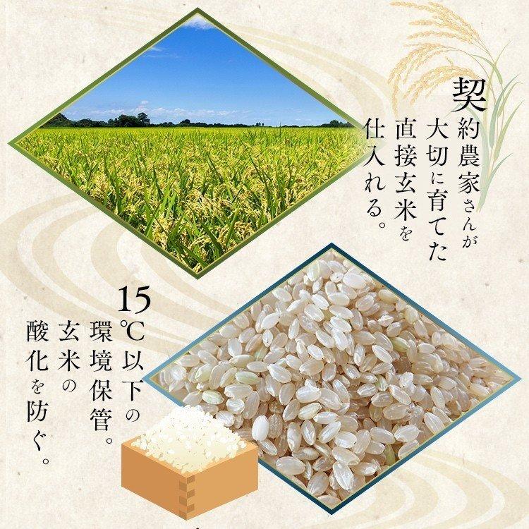 IRIS OHYAMA 令和6年産 米 10kg 送料無料 千葉県産 こしひかり IRIS OHYAMA 令和6年産 米 10kg 送料無料 千葉県産 こしひかり