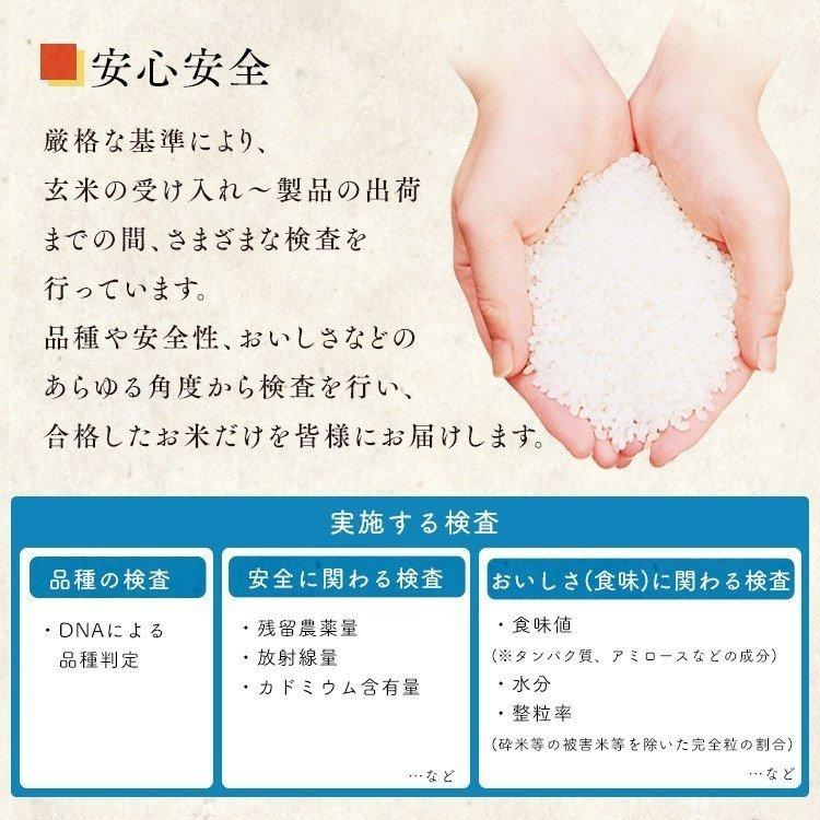 IRIS OHYAMA 令和6年産 米 10kg 送料無料 千葉県産 こしひかり IRIS OHYAMA 令和6年産 米 10kg 送料無料 千葉県産 こしひかり