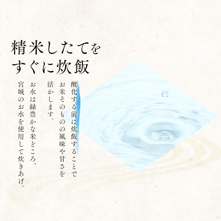 パックご飯 非常食 120g 40食 低温製法米 保存食 ご飯パック 120g レトルトご飯 ご飯 レンチンご飯 アイリスオーヤマ｜petkan｜06