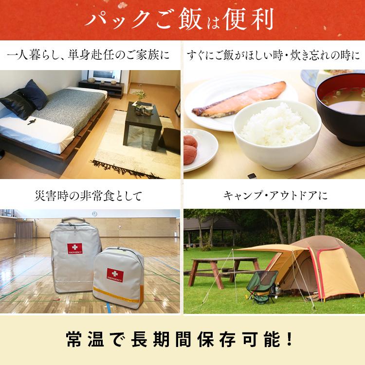 パックご飯 非常食 120g 40食 低温製法米 保存食 ご飯パック 120g レトルトご飯 ご飯 レンチンご飯 アイリスオーヤマ｜petkan｜07