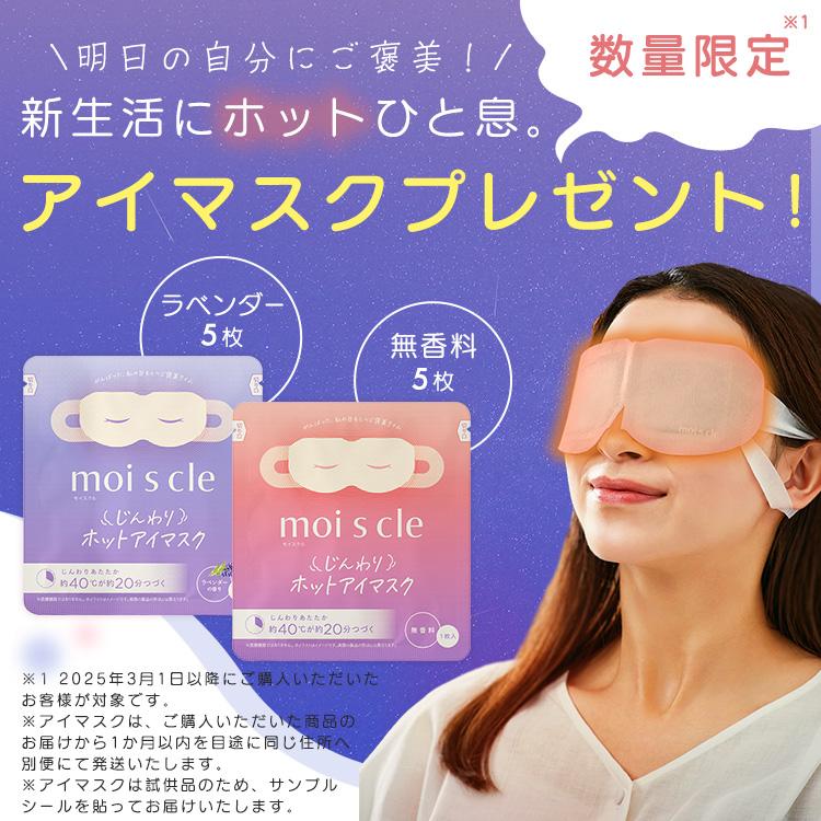 IRIS OHYAMA 新生活家電セット 家電セット 一人暮らし 2点 IRIS OHYAMA 新生活家電セット 家電セット 一人暮らし 2点