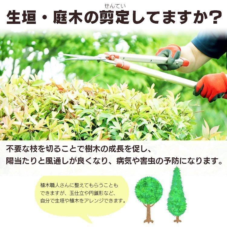 RYOBI ヘッジトリマー　　　　　庭木　植木　　生け垣　剪定 楽天市場】ヘッジトリマー 充電式 剪定トリマー 生垣バリカン