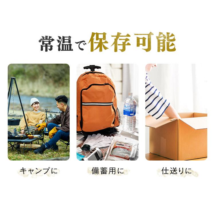 IRIS OHYAMA（アイリスオーヤマ） パックご飯 150g 24食 米 パック