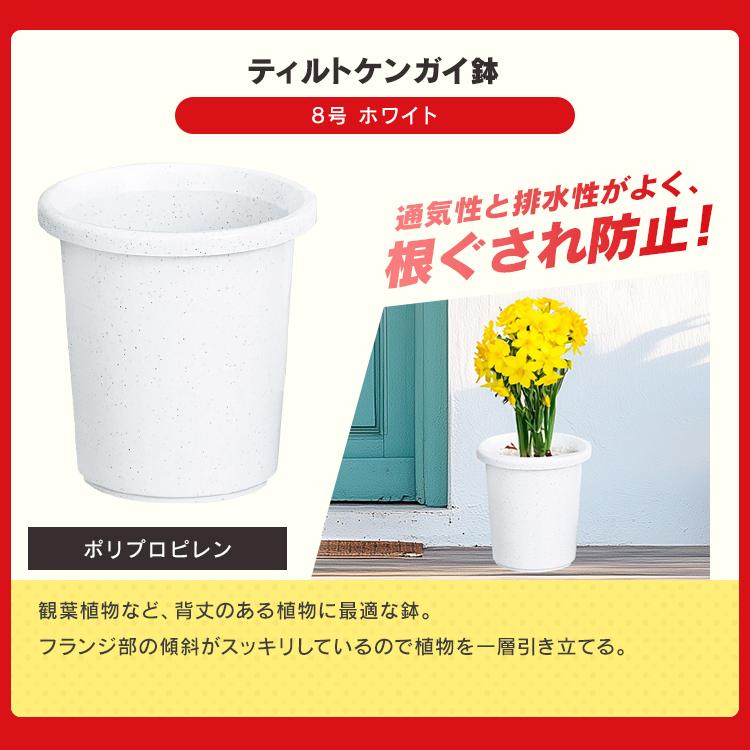 ＼ハッピーバッグ／ 培養土 アイリスオーヤマ 5l 土 園芸用 植木鉢 おしゃれ 鉢 受け皿 じょうろ 収納ボックス 屋外 フタ付き 収納ケース * | IRIS OHYAMA | 03