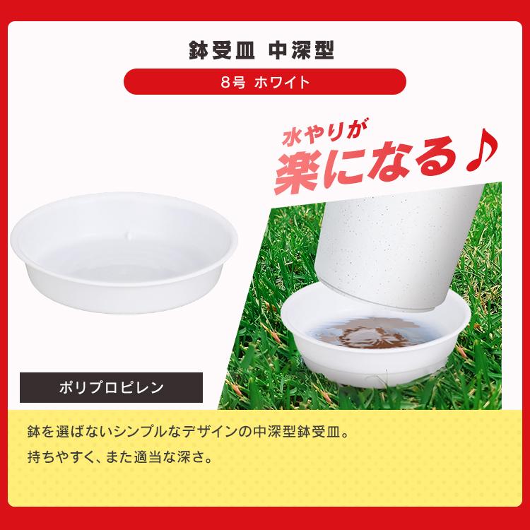 ＼ハッピーバッグ／ 培養土 アイリスオーヤマ 5l 土 園芸用 植木鉢 おしゃれ 鉢 受け皿 じょうろ 収納ボックス 屋外 フタ付き 収納ケース * | IRIS OHYAMA | 04