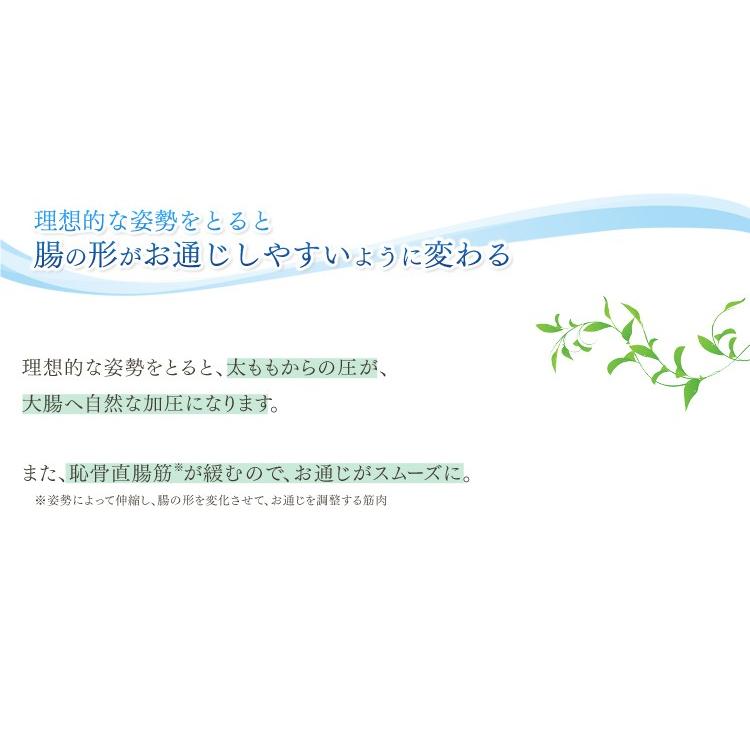 トイレスムーズ 踏み台 安全 サポート アイリスオーヤマ トイレ 足置き ステップ トイレ 足置 脚台 足台 洋式トイレ 和式トイレ TLS-200 新生活 ポイント消化｜petkan｜03