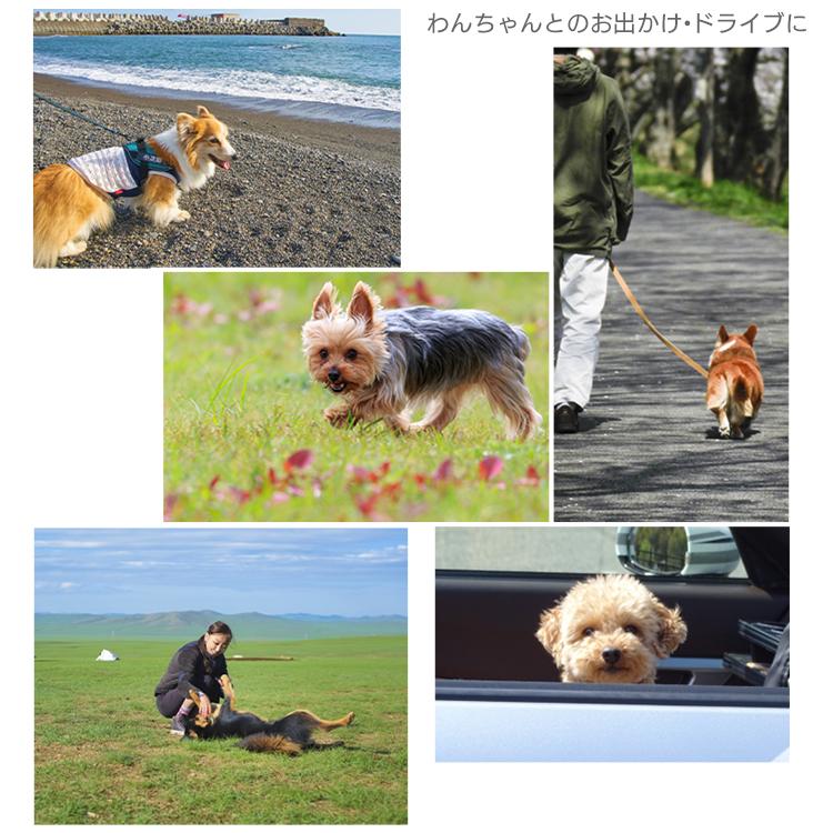 ケージ 中型 Lサイズ 犬 猫 折りたたみ収納 ペットケージ ドッグケージ キャットケージ 折りたたみケージ アイリスオーヤマ OKE-750Rの画像