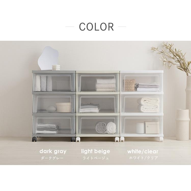 IRIS OHYAMA（アイリスオーヤマ） 収納ケース 収納ボックス 押し入れ