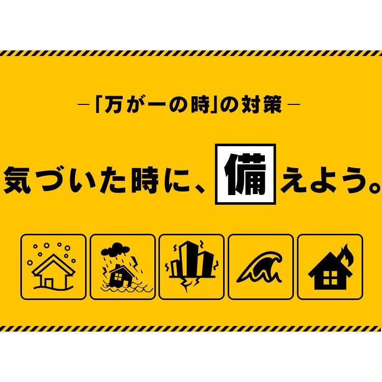 非常食 セット 非常食セット 1人用 長期保存 保存食 アイリスオーヤマ アルファ米  防災グッズ 防災 災害 震災 台風 避難 緊急 非常用 備え 備蓄 21点 HSS1-21｜petkan｜13