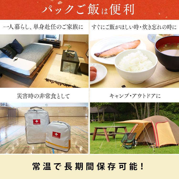 パックご飯 アイリス 低温製法米 CM パックごはん レトルトご飯 パック ごはんパック レンジ 120g 10食 セット 非常食 保存食|petkan|08