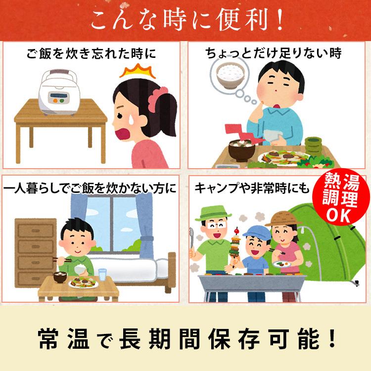パックご飯 アイリス 低温製法米 CM パックごはん レトルトご飯 パック ごはんパック レンジ 120g 10食 セット 非常食 保存食|petkan|09