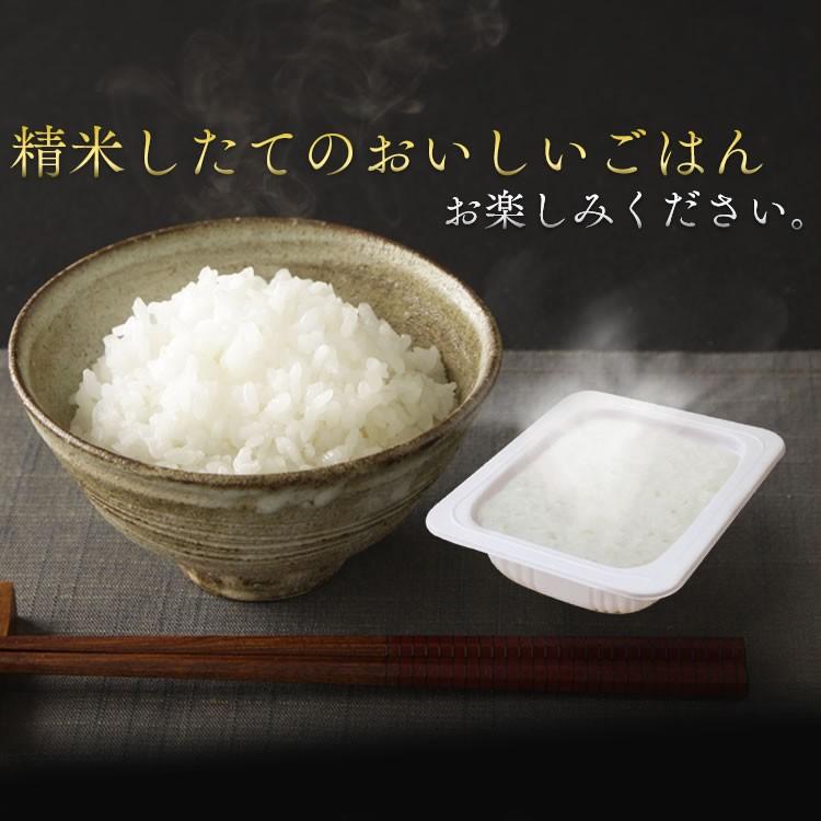 パックご飯 アイリス 低温製法米 CM パックごはん レトルトご飯 パック ごはんパック レンジ 150g 6食 セット 非常食 保存食 新生活 ポイント消化｜petkan｜09