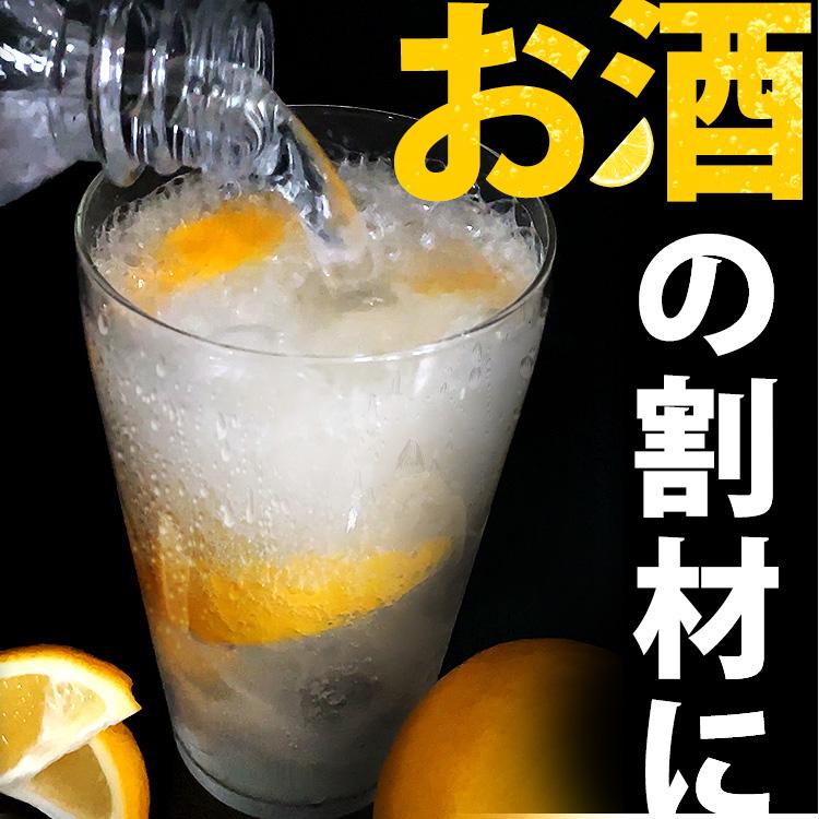 炭酸水 24本 450ml 強炭酸水 強炭酸 アイリス 無糖 まとめ買い 炭酸 ソーダ ペットボトル アイリスオーヤマ 割材 TANSAN X エックス | IRIS OHYAMA | 06