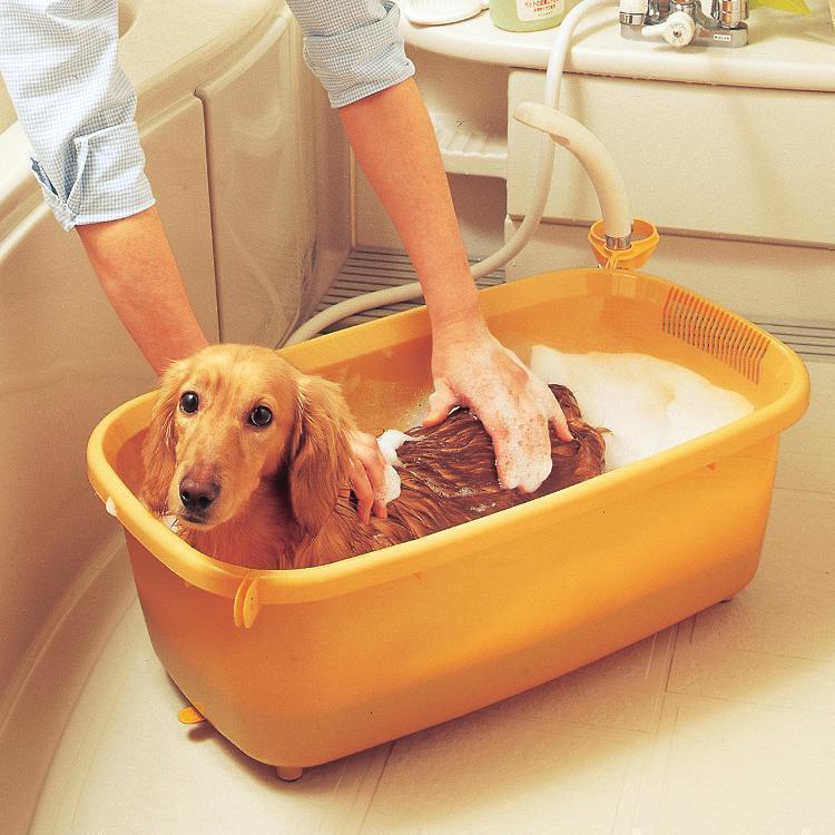 Oxbow Poof! 小動物用バスダスト 5個セット 楽天市場】【単品】『 OXBOW エッセンシャル 【 アダルト