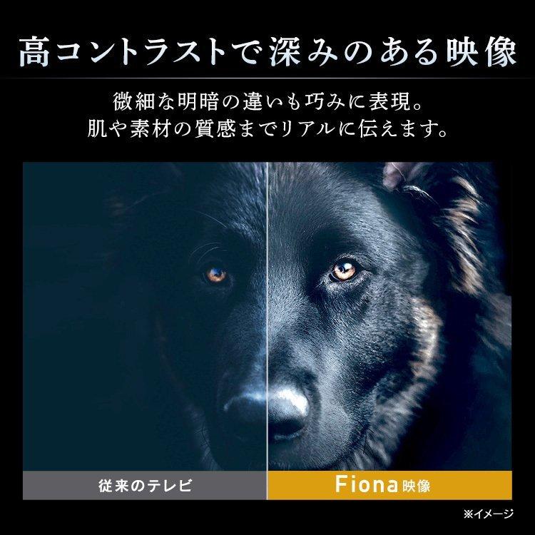 テレビ 65インチ 4K 65型 本体 新品 アイリス 液晶テレビ アイリスオーヤマ 4Kテレビ Fiona 4K対応液晶テレビ 65V型 65UB10PB[OP] 新生活｜petkan｜04